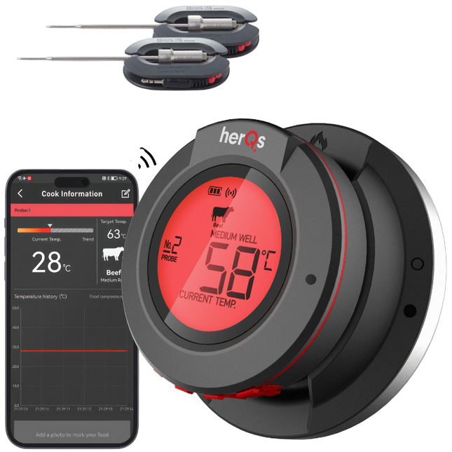 HerQs HerQs Dome Thermometer