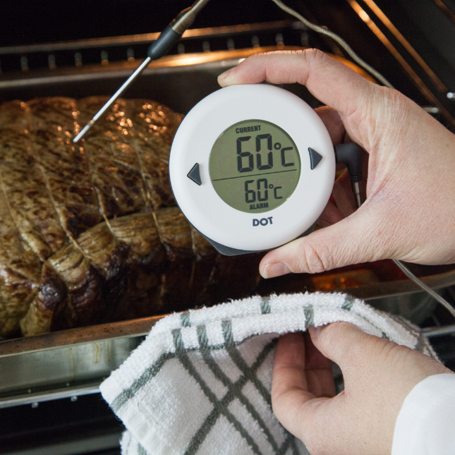 Thermapen Second Chance: ETI Dot Digitale Thermometer