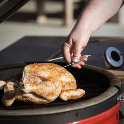 Thermapen Second Chance: ETI Dot Digitale Thermometer