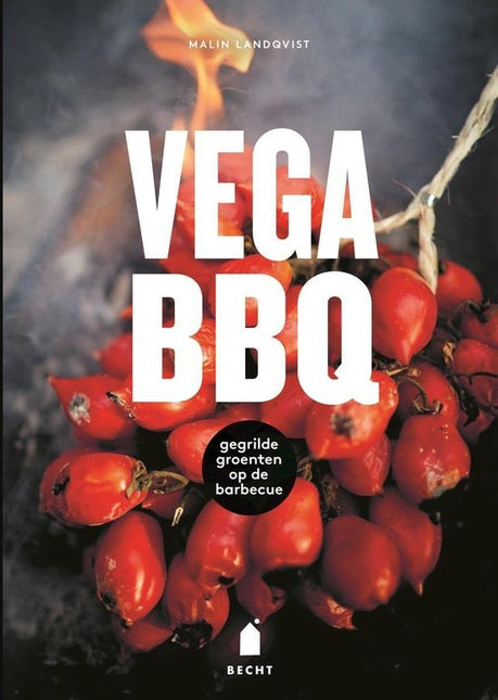 Vuur & Rook Vega BBQ