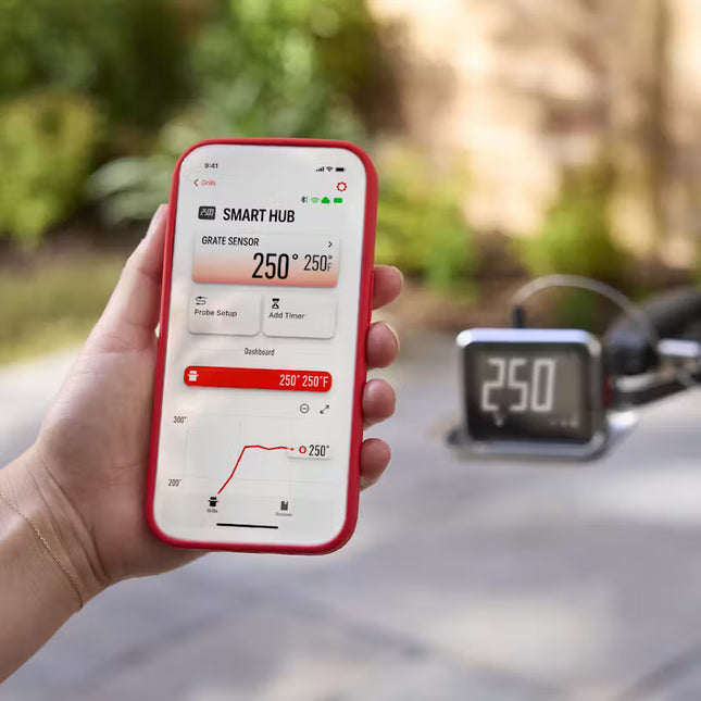 Weber Weber Bluetooth / WIFI Display Smart Thermometer